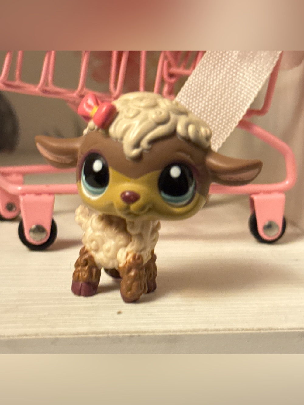 Lps Brown sheep lamb rare